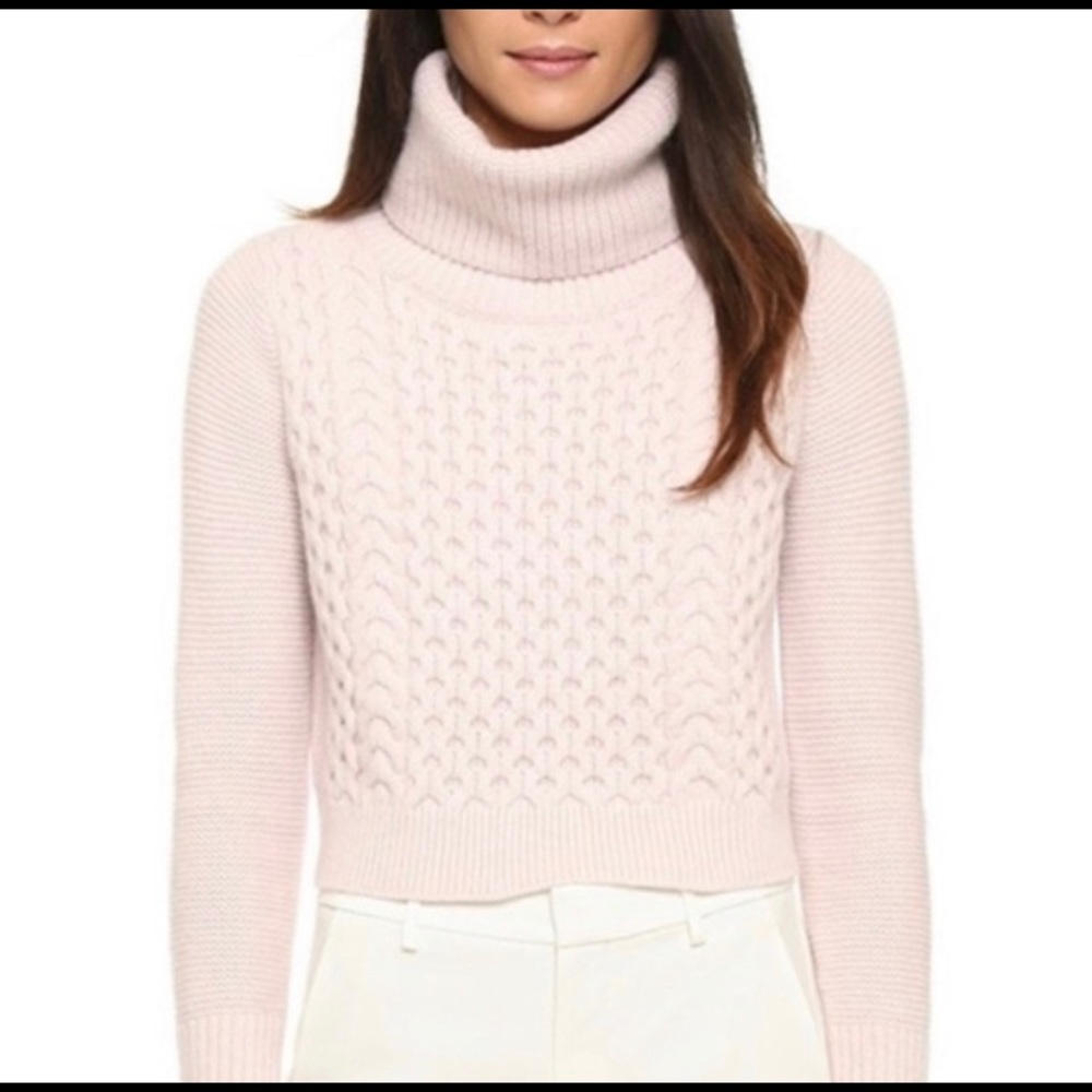 Club Monaco Pink Turtleneck Sweater